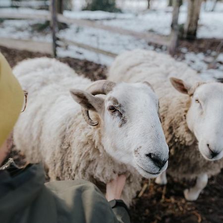 Our Farm Ferienwohnung Grasberg المظهر الخارجي الصورة