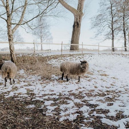 Our Farm Ferienwohnung Grasberg المظهر الخارجي الصورة