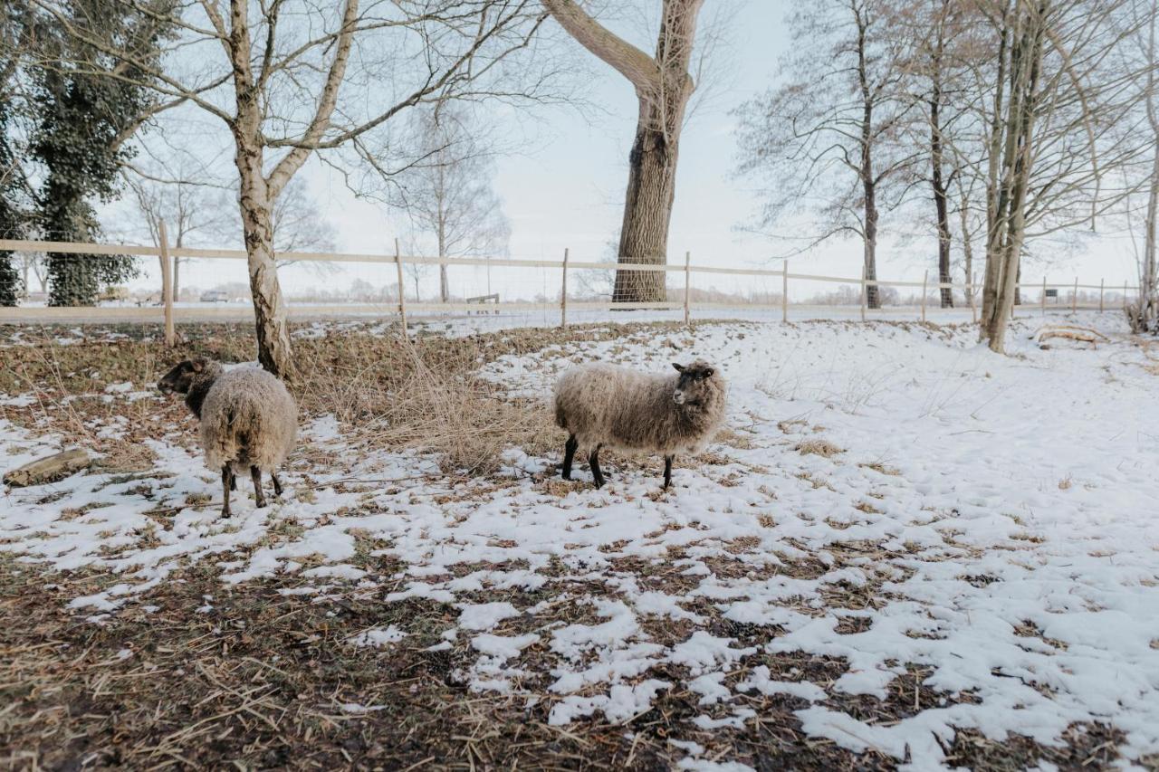 Our Farm Ferienwohnung Grasberg المظهر الخارجي الصورة